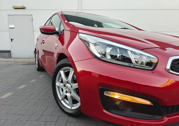 Kia Ceed cena 38900 przebieg: 156500, rok produkcji 2016 z Mieszkowice małe 631